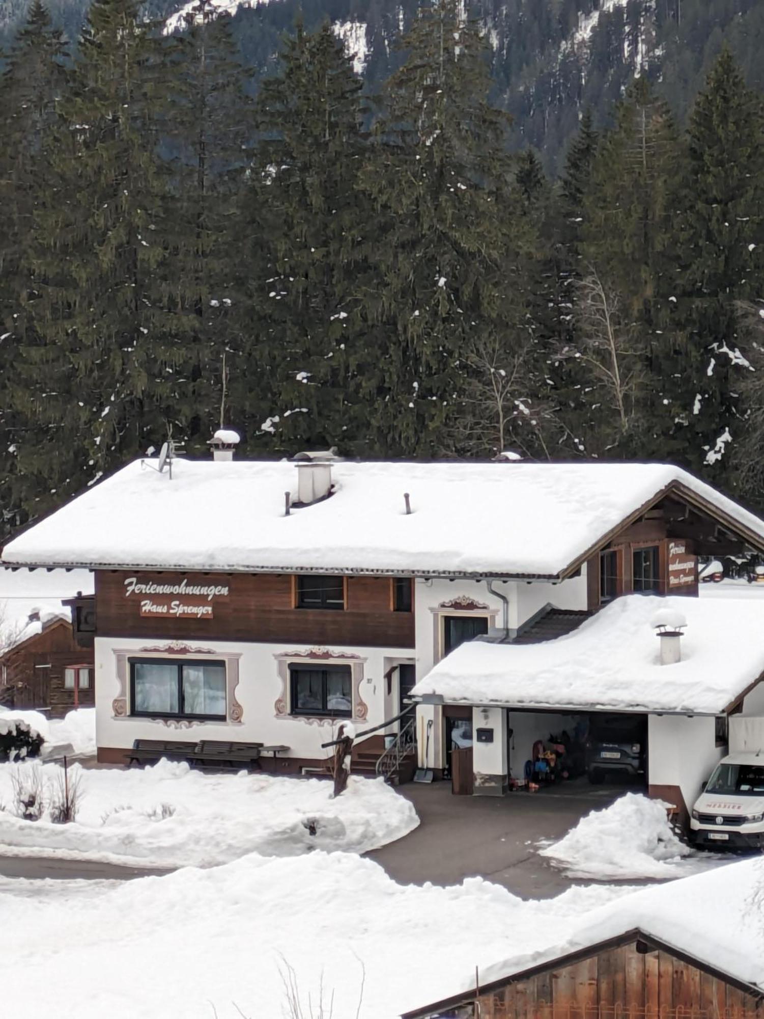 Haus Sprenger Apartment Haeselgehr ภายนอก รูปภาพ